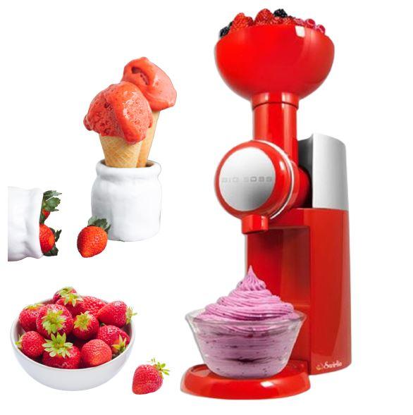 The Homemade Fruit Ice Cream Maker