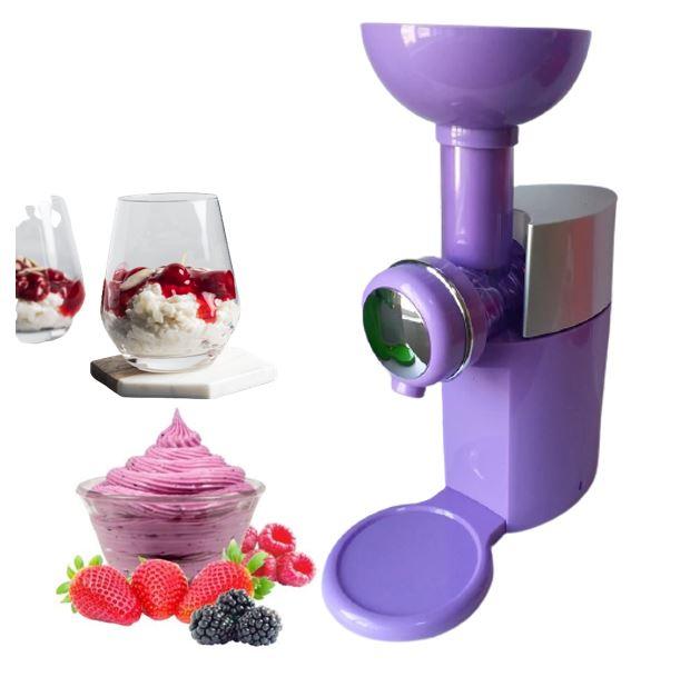 The Homemade Fruit Ice Cream Maker