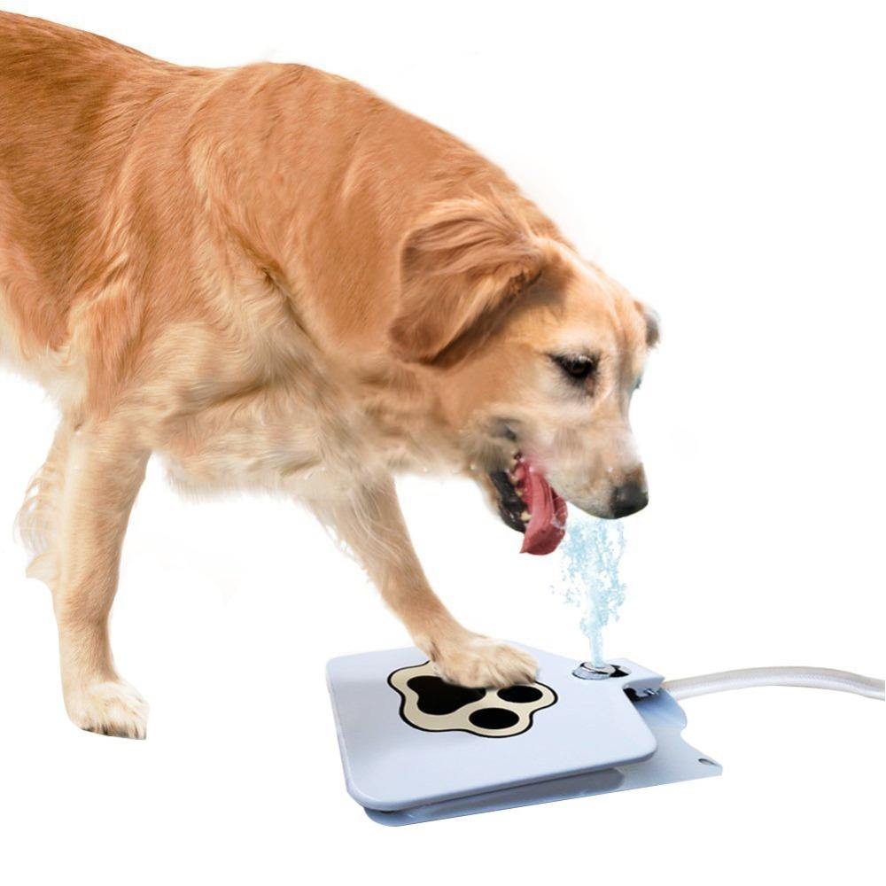 Outdoor Dog Water Fountain™ - Beetno Store - PETS